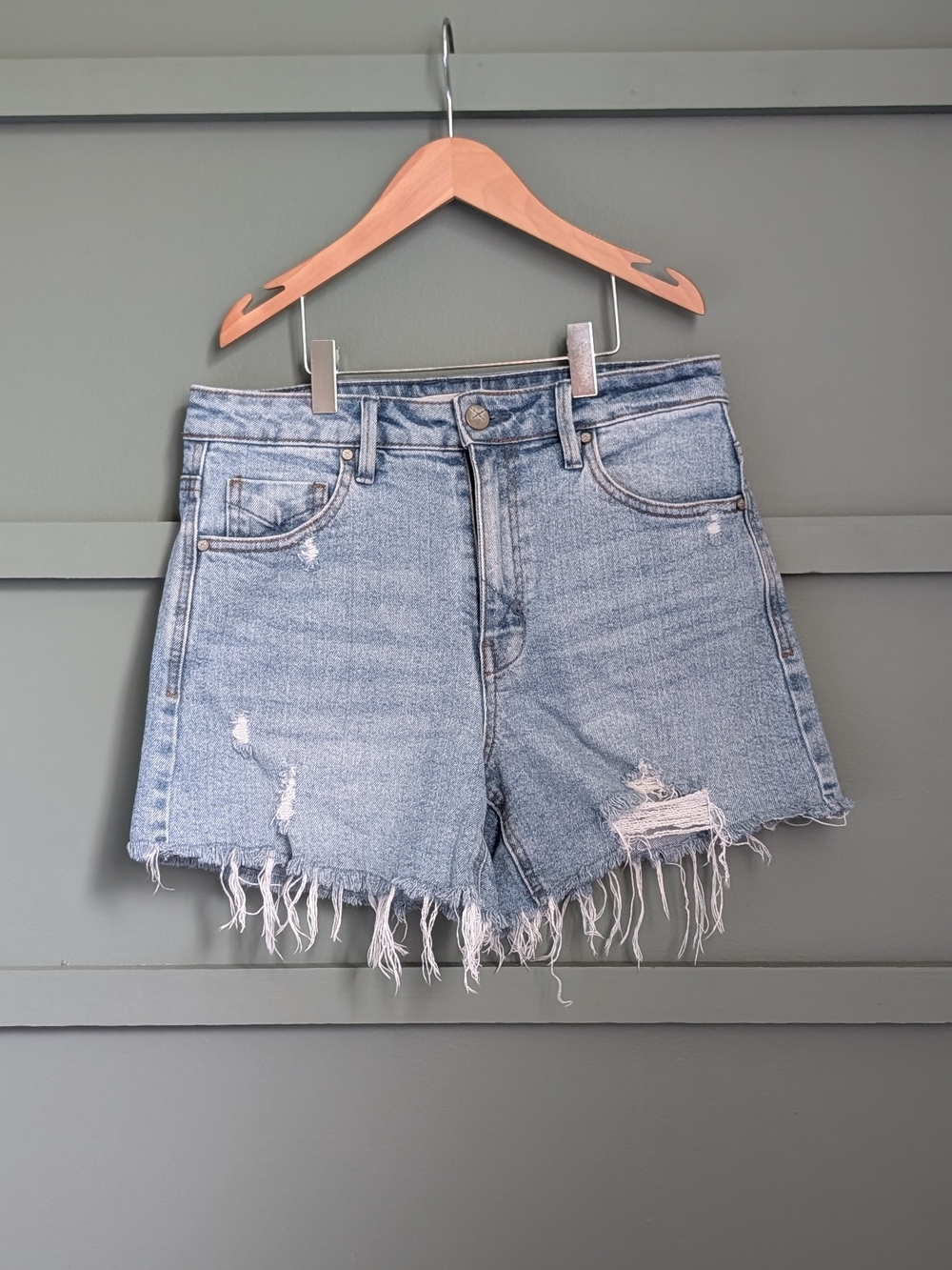 Unpublished High-Rise Denim Shorts